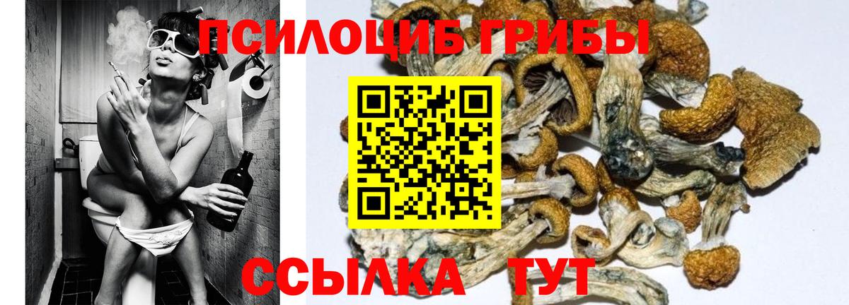 Галлюциногенные грибы мухоморы  Вход с VPN  Галлюциногенные грибы Psilocybine cubensis  Коряжма 